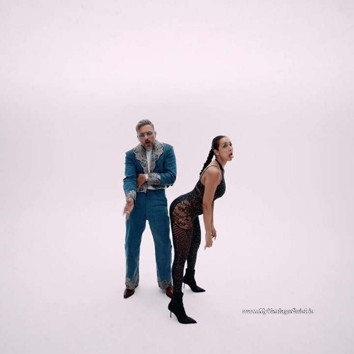 33-Malaika-Arora-Hot-in-Chillgum-Song-by-Yo-Yo-Honey-Singh-My-Vantage-Point