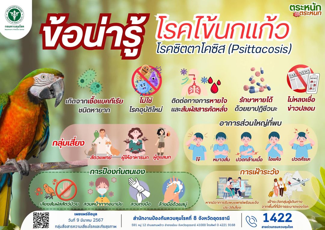 ไข้นกแก้ว