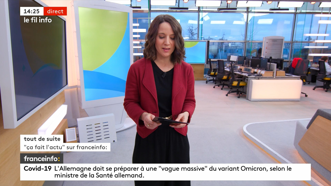 12.17 - 12.59.00 - Le fil info 14h-17h. Au sommaire   Vrai ou fake. -....ts_snapshot_29.20.313