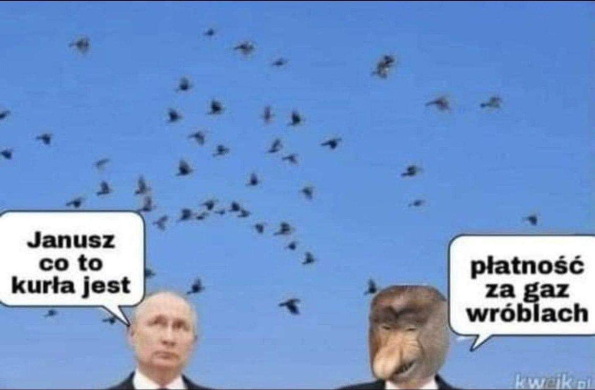 278776503_542308217252837_51626603823797069_n