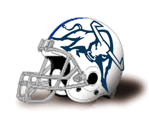Bull Helmet 1