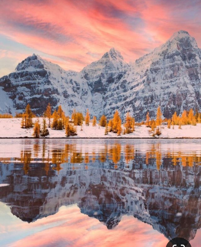 Screenshot_20231016_192634_Pinterest