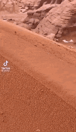GIFs-8