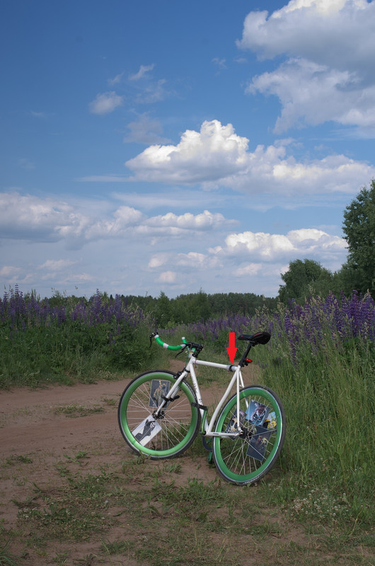 IMGP72980 - копия