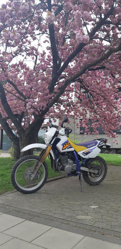 photo_2022-04-13_15-31-42