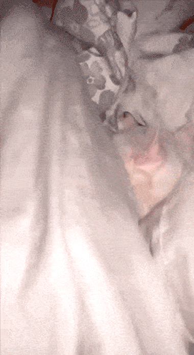 62.gif