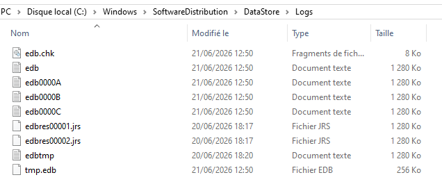 Logs