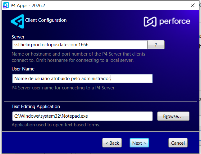 Instalador do P4V — tela 2