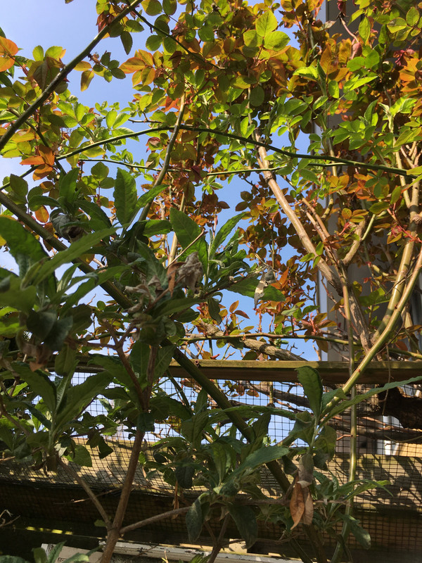 CAF11BE9-26BC-41A5-AD8E-0EFB62231AFE