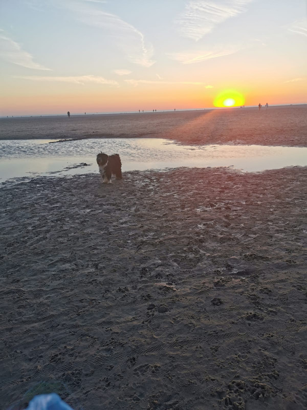 5960713F-5608-43FF-9608-FE45A40E754D