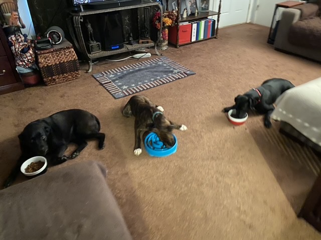 1DC5FB35-668E-4931-9535-8FB8677387AB