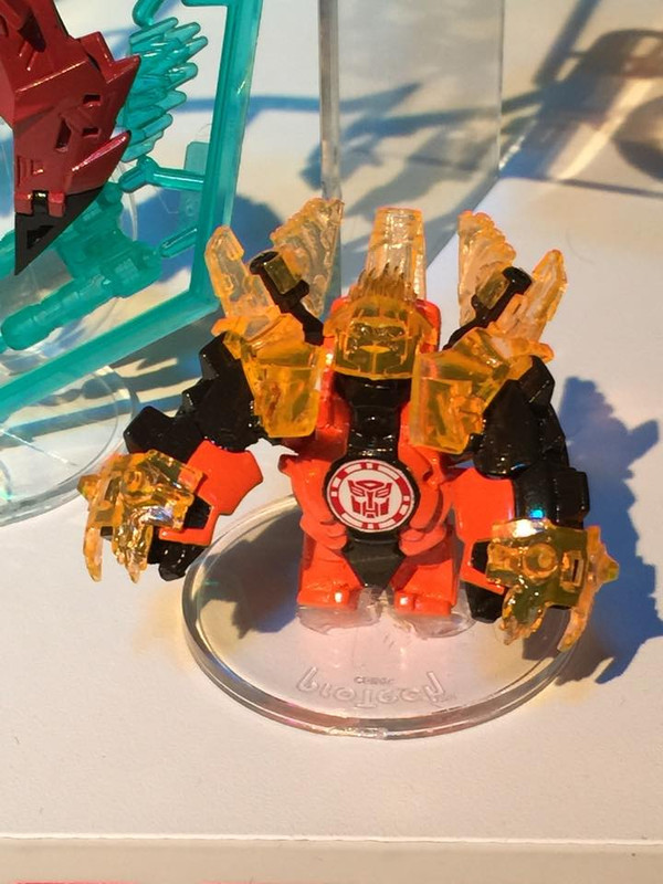 10959459_10152745318119912_1868435168164932537_n