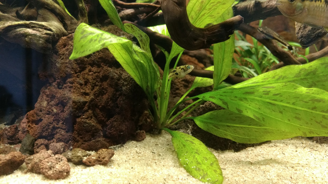 IMG_20180519_180049521