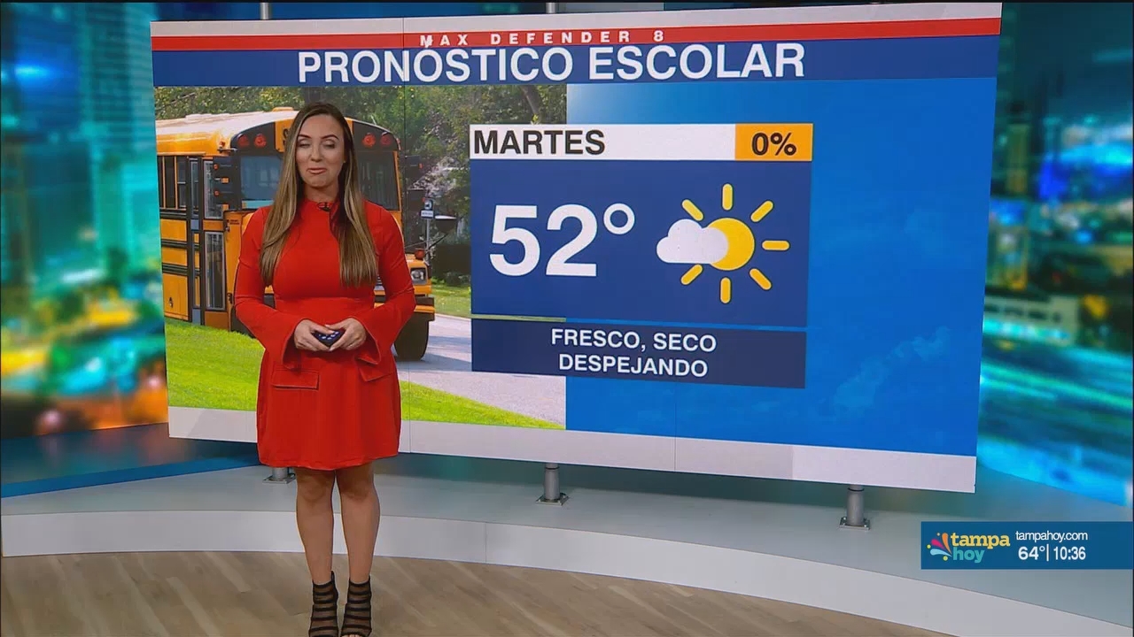 Noticias Tampa Hoy_20250114_03300400.ts_snapshot_06.53.770