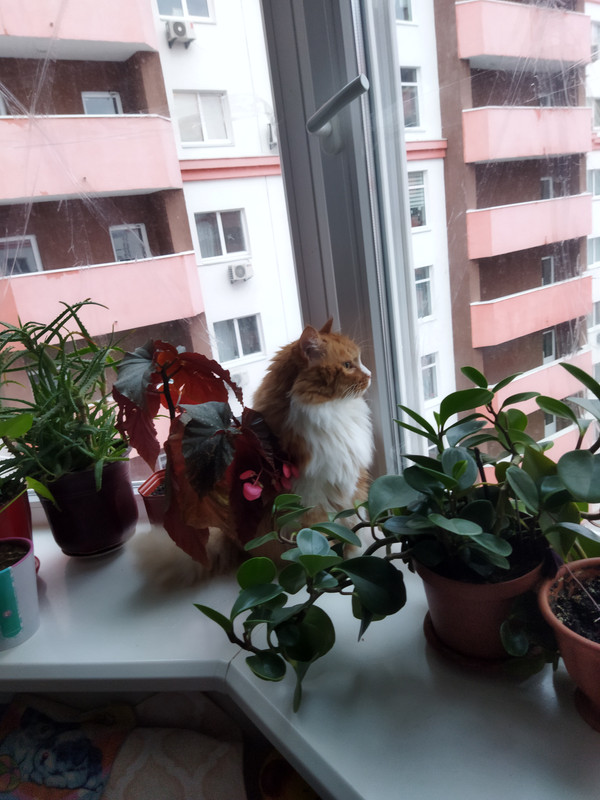 IMG-20220409-192135.jpg