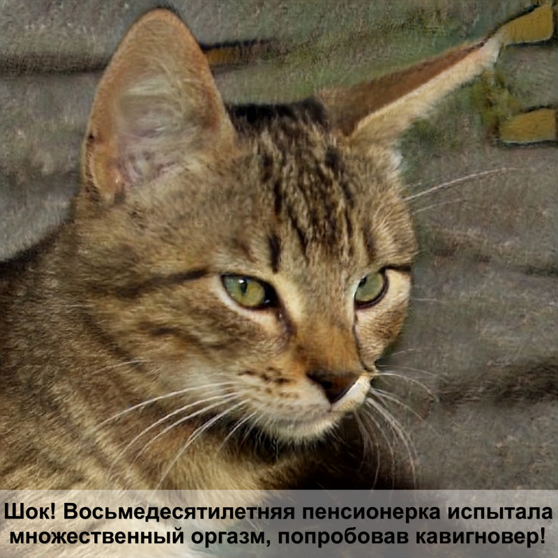 корм для кошек брит отзывы