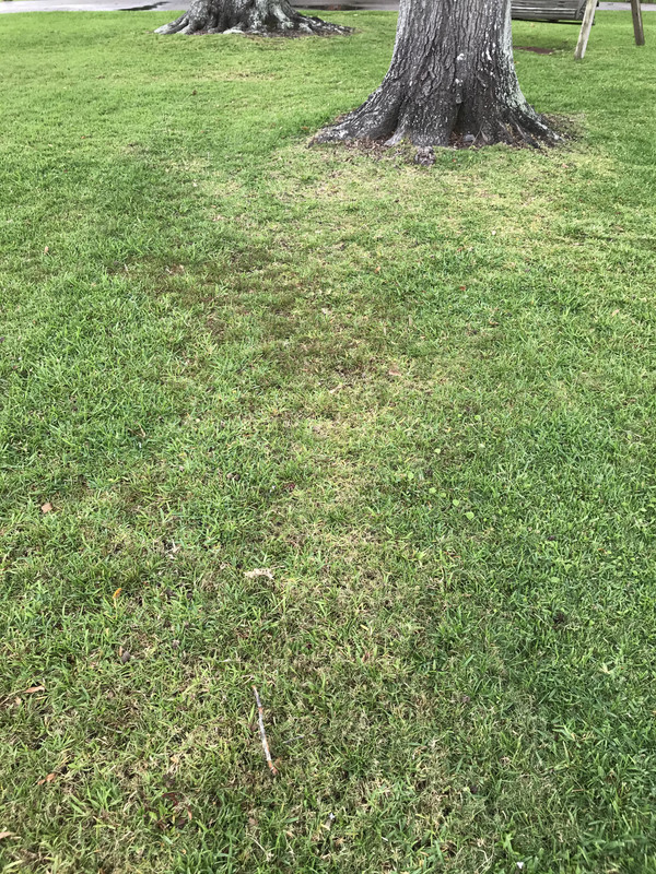 D8BAA2C3-C0D5-4004-B720-51810C2A8879