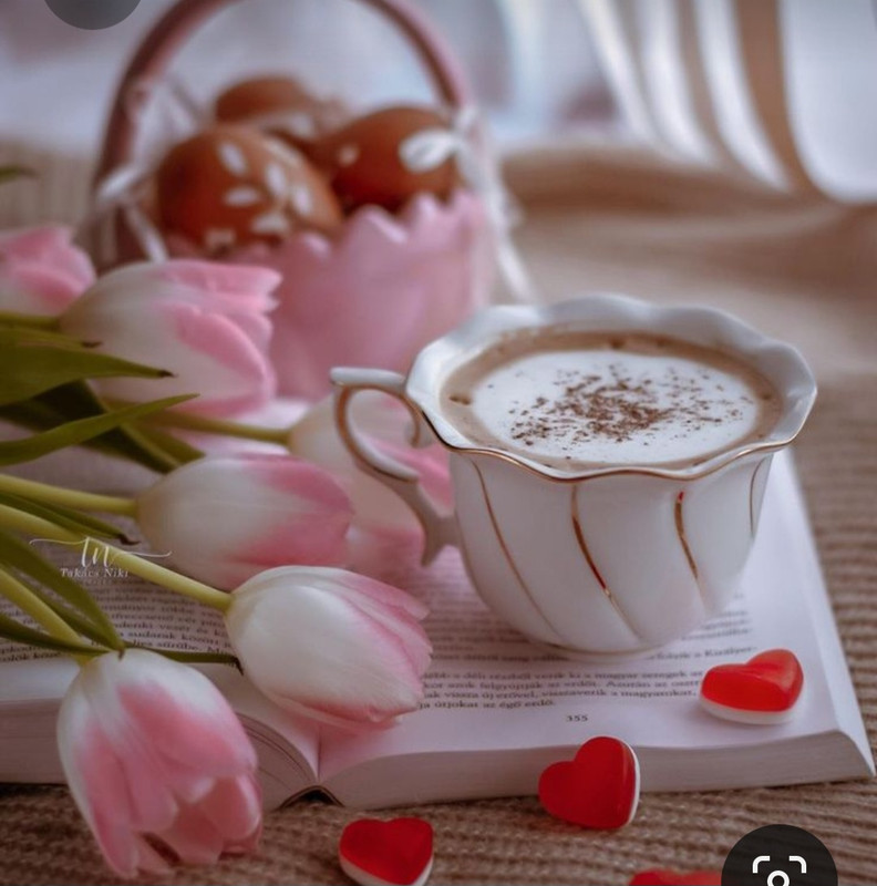 Screenshot_20230312_214227_Pinterest