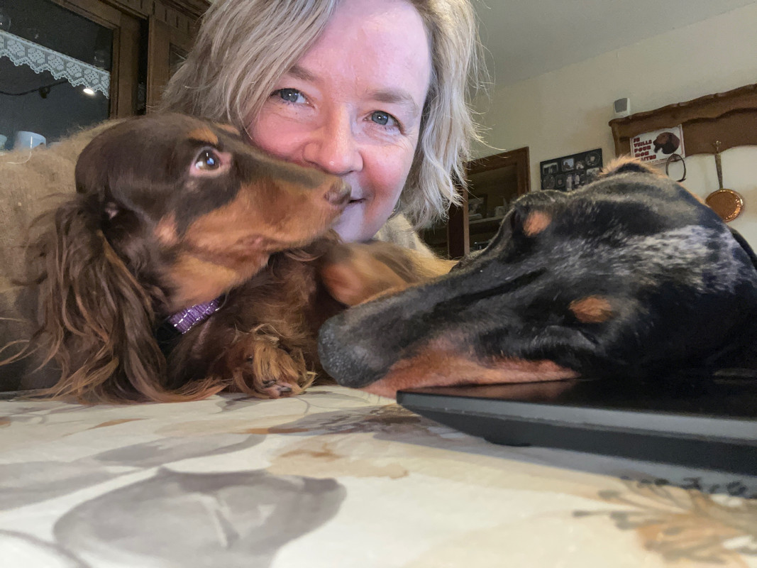 [Image: IMG-5019.jpg]