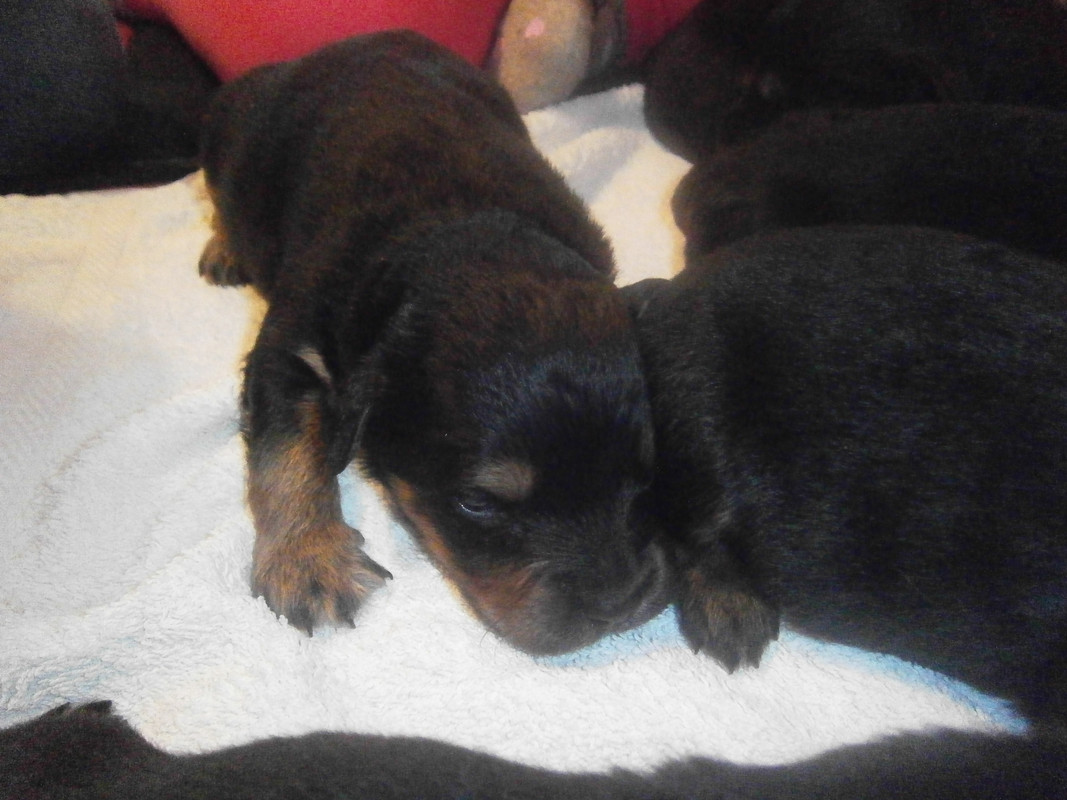 ^2575C208E1F4E3E27FCE88E9569EDC065A89AD61C5903B8