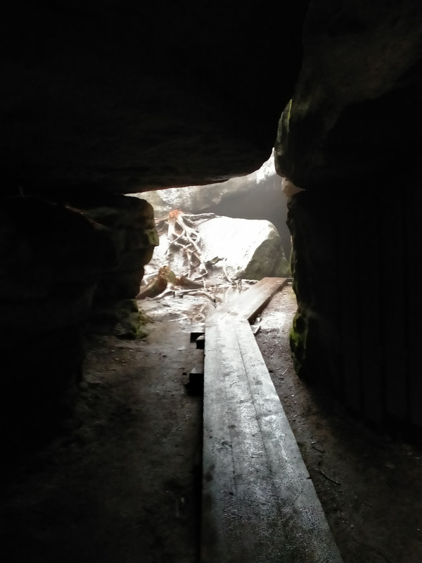 023 - IMG20210805144619