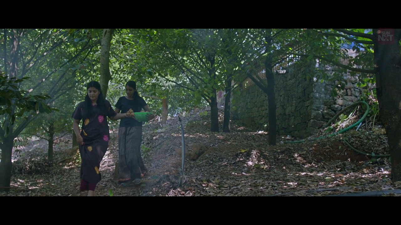 vlcsnap 2026 02 11 15h43m45s000