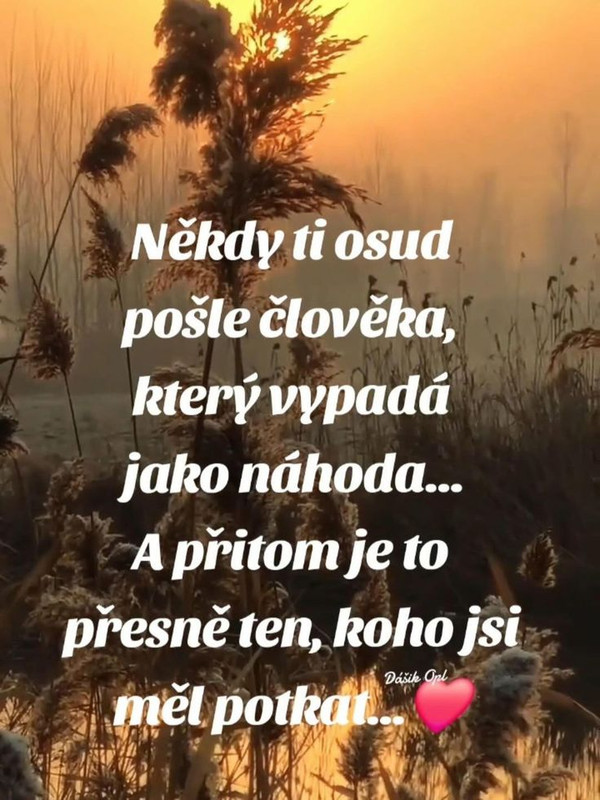 f09c55d186806d553d468ed73f1f3e23