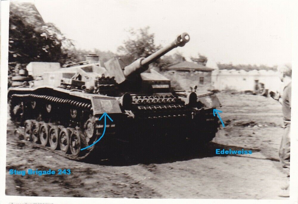 Stug 3 Sturmgeschütz Langrohr Stug ABT 243 Kennung Edelweiss 1.G