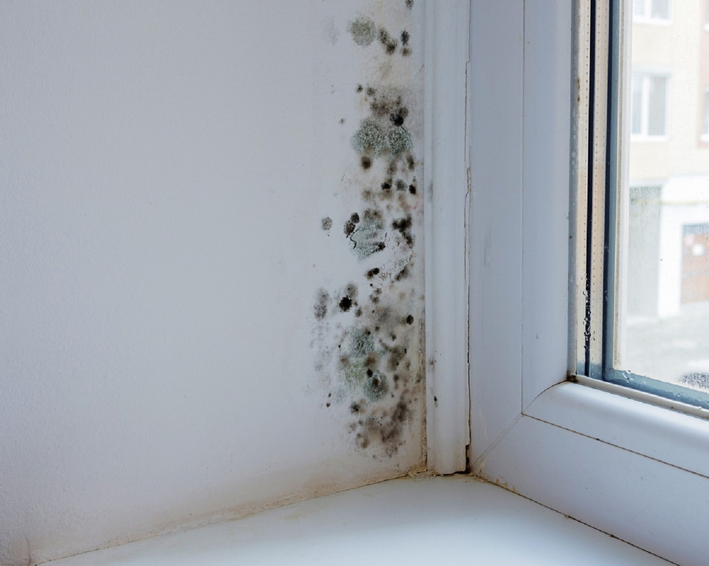 ¿Cómo quitar el moho negro del baño? Infalible truco el que te compartimos