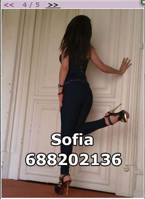 SOFIA 4