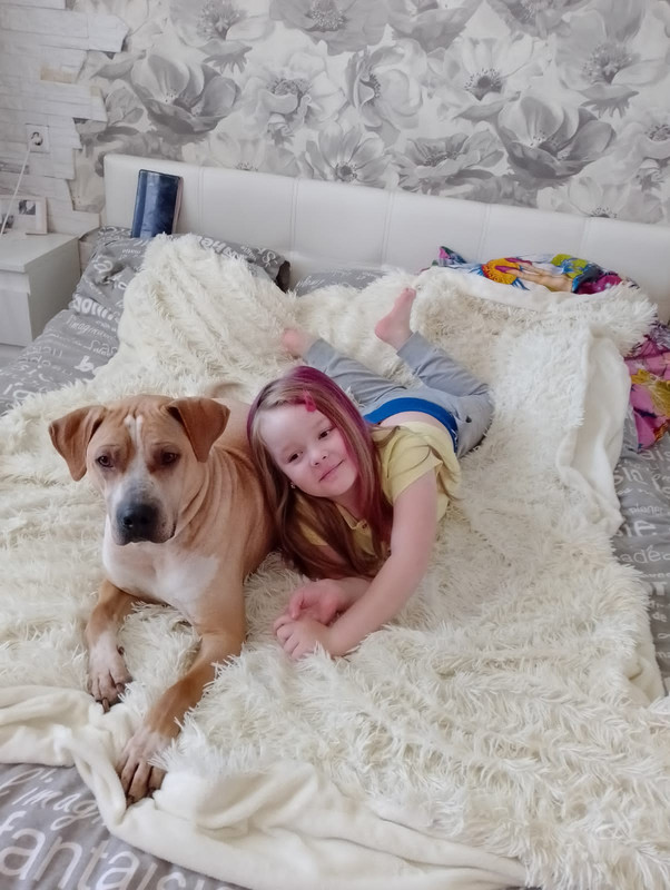 0575009F-5C43-4993-B741-31180C26900E