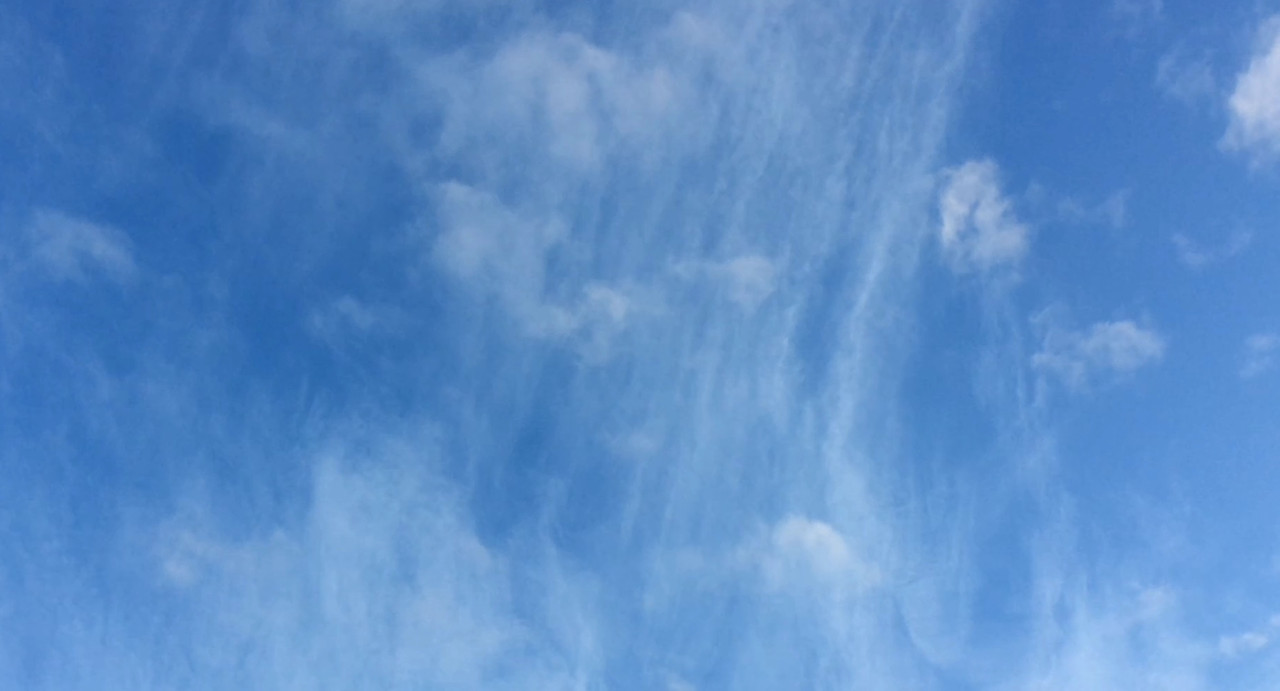 [Image: 70522-AAB-C646-40-C8-A080-A933-BD3509-E8.jpg]