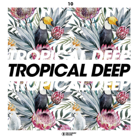 VA - Tropical Deep Vol. 10 (2020)