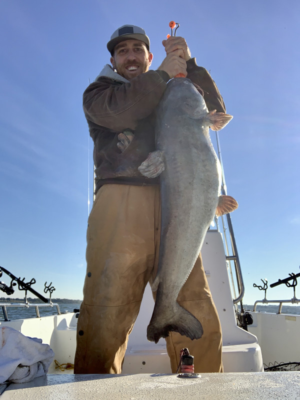 FFA29EA8-B971-42EF-8AA7-9A2535BE775F