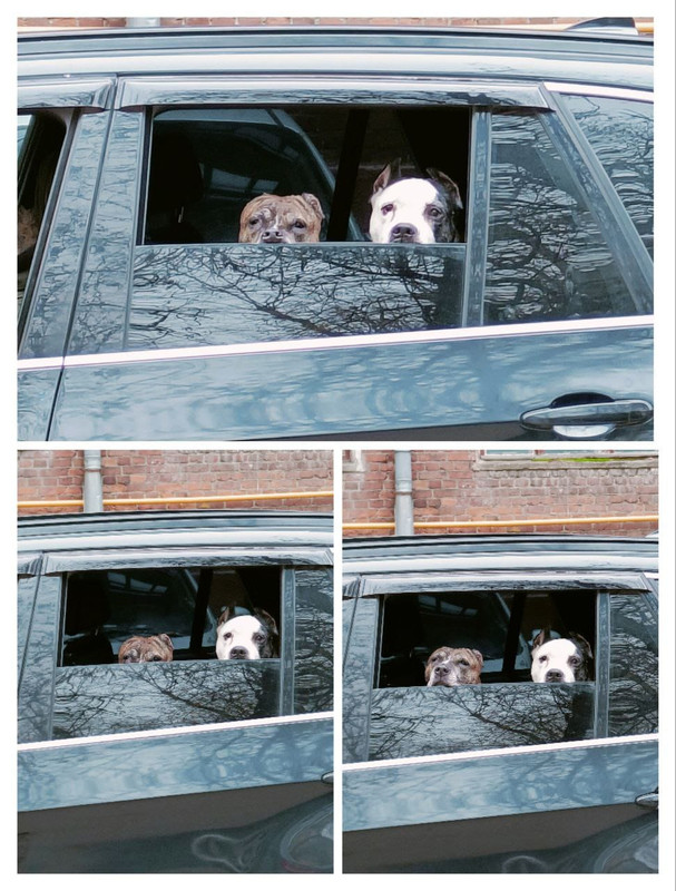 8A789086-9BE4-473B-975A-118DD9B92055