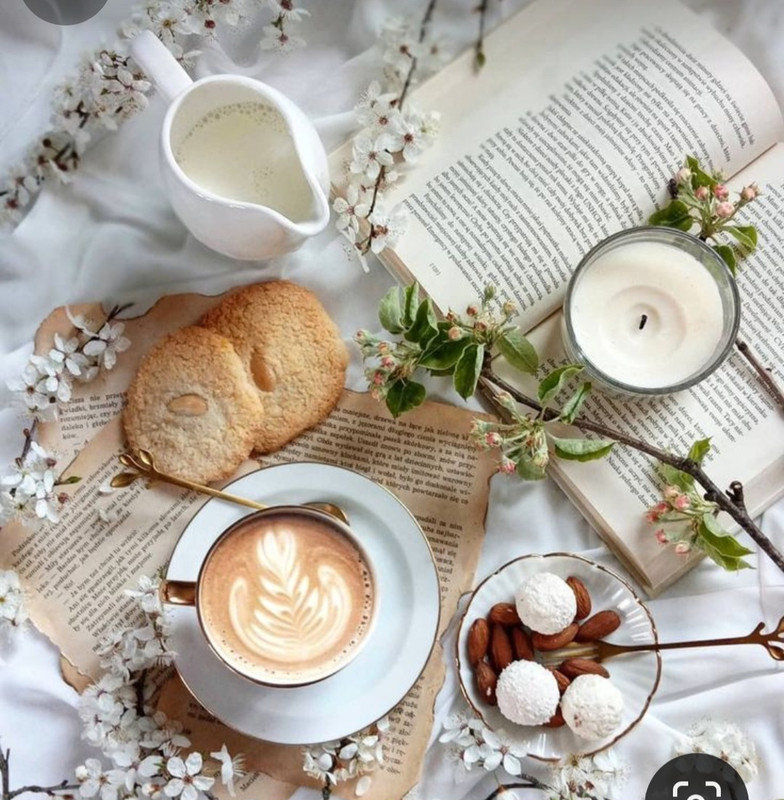 Screenshot_20240118_225952_Pinterest