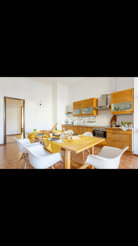 WhatsApp Image 2021-03-01 at 14.20.27 (1)