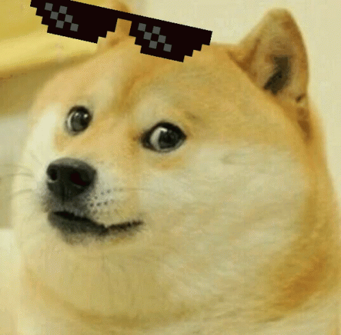 Doge-Deal-With-It-GIF-Doge-Deal-With-It-Too-Bad-Discover-Share-GIFs.gif