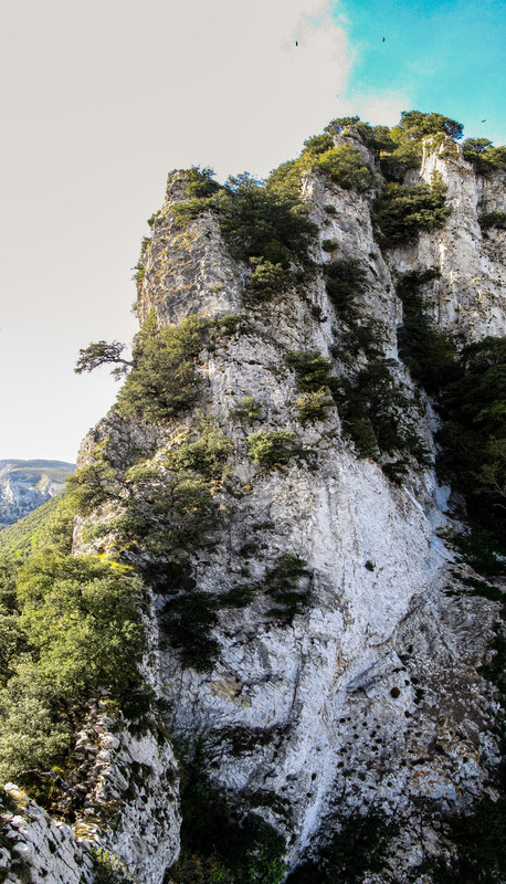 21770_bf7ca4f2ab836117f49889e4f8aa8f3c