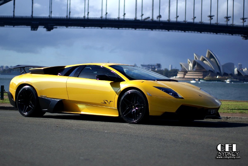 4485717621_508841c557_oа