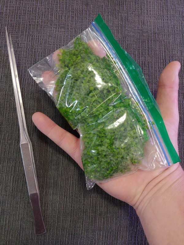 IMG_20190904_152355_01