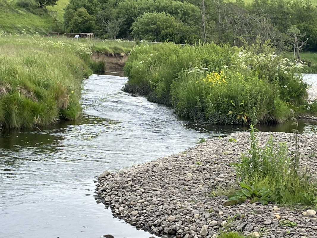 C085C1E3-6970-4275-AD74-ADCDF8619CF8