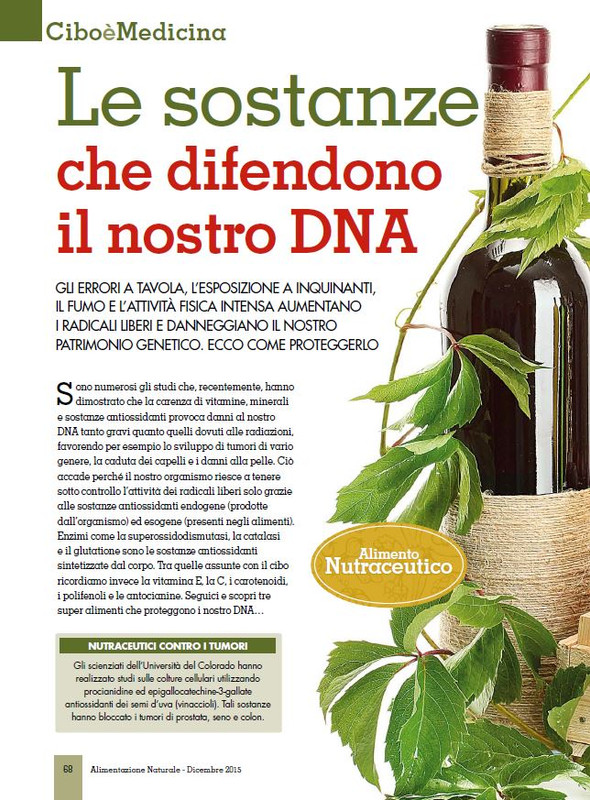 Alim Nat Dic 2015 (7)