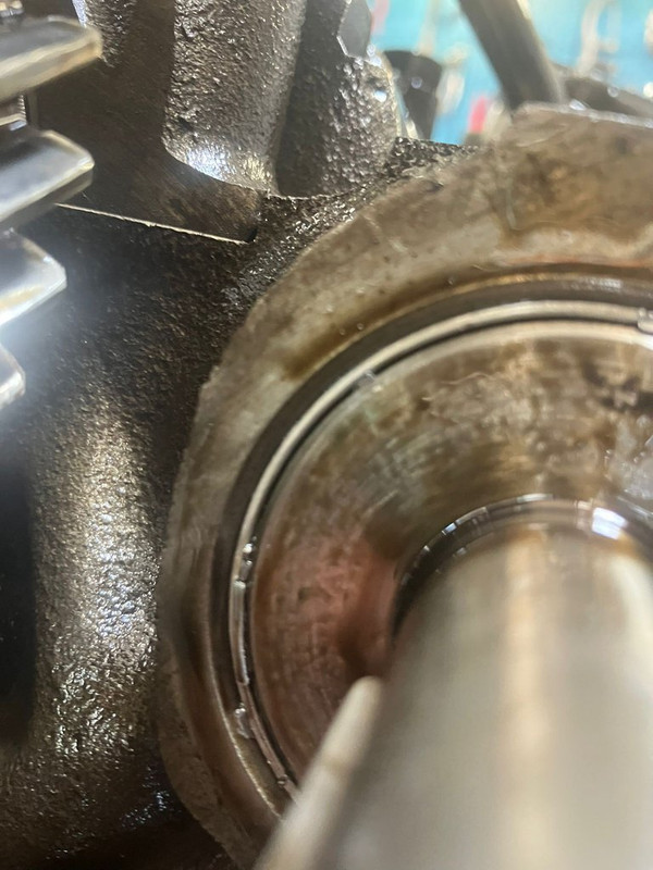 PHOTO-2023-07-12-17-05-48_1