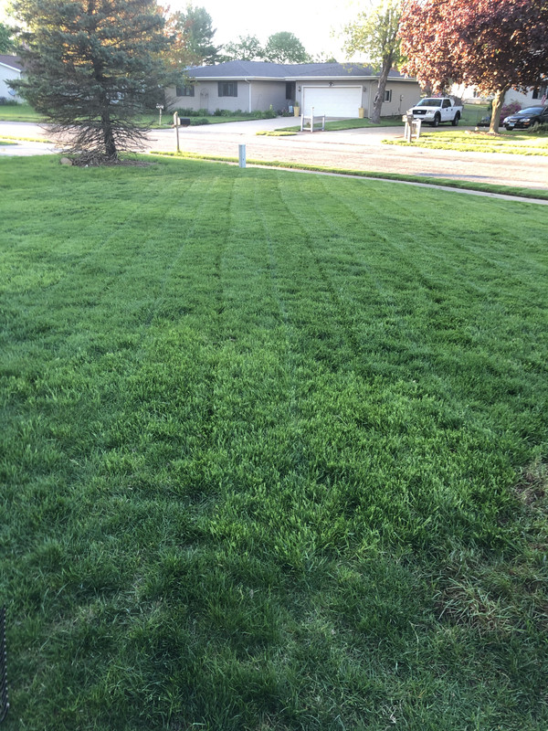 EF81A69A-B636-4AC3-B9BA-A990F5E59184