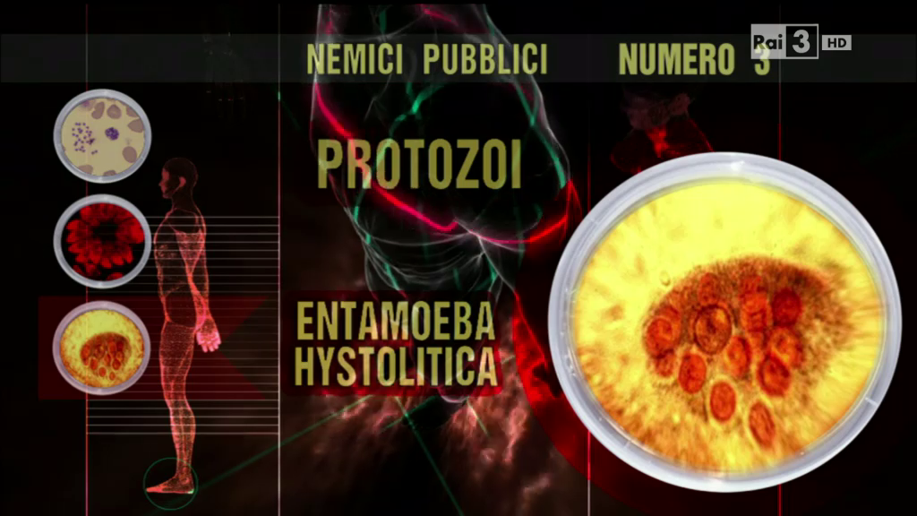 vlcsnap-7443-07-10-14h33m31s008