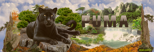 P-U-M-Ao.png