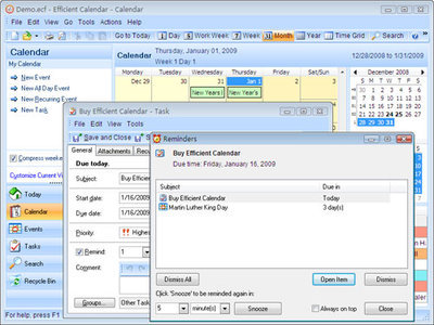 Efficient Calendar 5.60 Build 552 Multilingual Portable