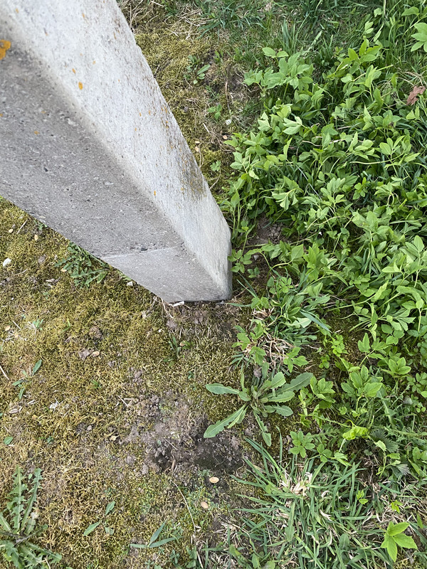 IMG 0419