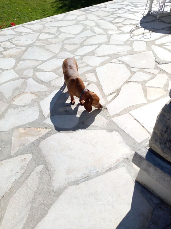 [Image: image000000-128.jpg]